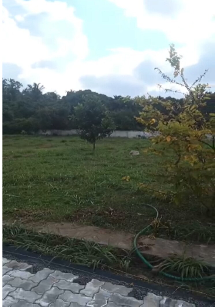 undefined, kechery  4357 Sq.Ft. Plot In Kechery Thrissur 9369984