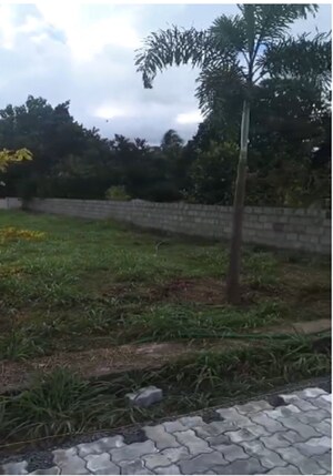 Plot Area in  Plot at Kechery – for Sale