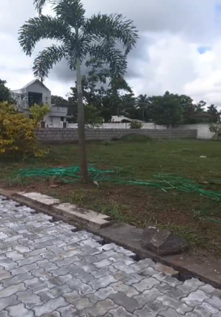 undefined, kechery  4357 Sq.Ft. Plot In Kechery Thrissur 9369984