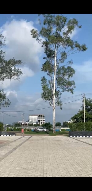  Plot – Exterior View View at Patiala Road - for Sale