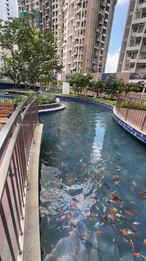 2 BHK Apartment For Rent in Puravankara Silversands, Mundhwa