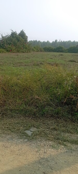  Industrial Plot – Garden View at Ambala Highway - for Sale