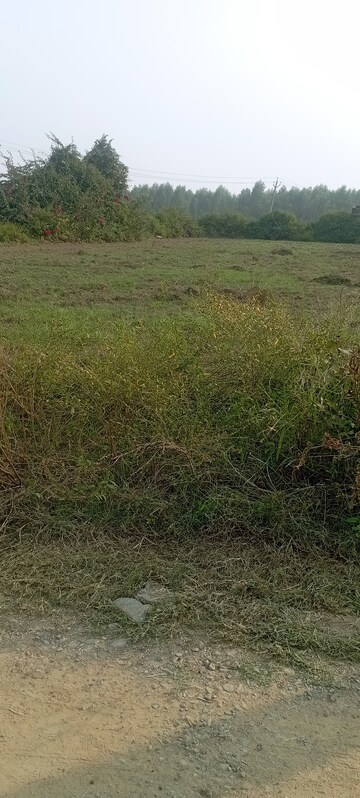  Industrial Plot – Garden View at Ambala Highway - for Sale