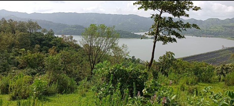 Garden, velhe  11000 Sq.Ft. Plot In Velhe Pune 9370622