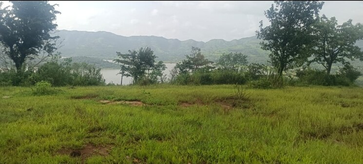 undefined, velhe  11000 Sq.Ft. Plot In Velhe Pune 9370622