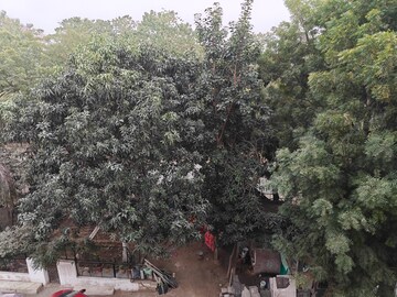 3 BHK Builder Floor – Exterior View View at Sector 5 - for Sale