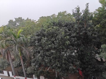 Plot Area in 3 BHK Builder Floor at Sector 5 – for Sale