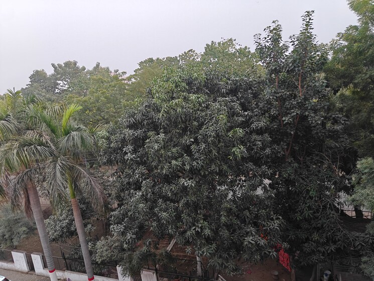 undefined, sector 5 3 Bedroom 1835 Sq.Ft. Builder Floor In Sector 5 Gurgaon 9370864