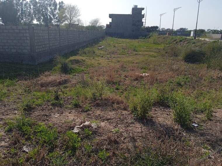 undefined, sector 127  1220 Sq.Ft. Plot In Sector 127 Mohali 9370821