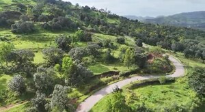  Plot For Sale in Velhe