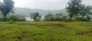 Plot Area in  Plot at Velhe – for Sale