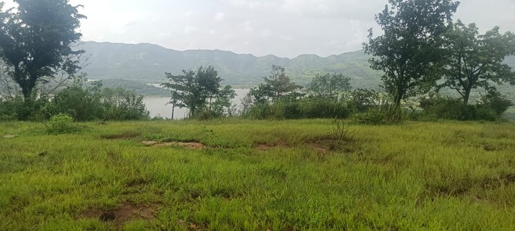 undefined, velhe  11000 Sq.Ft. Plot In Velhe Pune 9370622