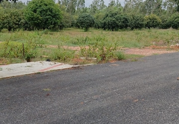Plot Area in  Plot at Hoskote – for Sale