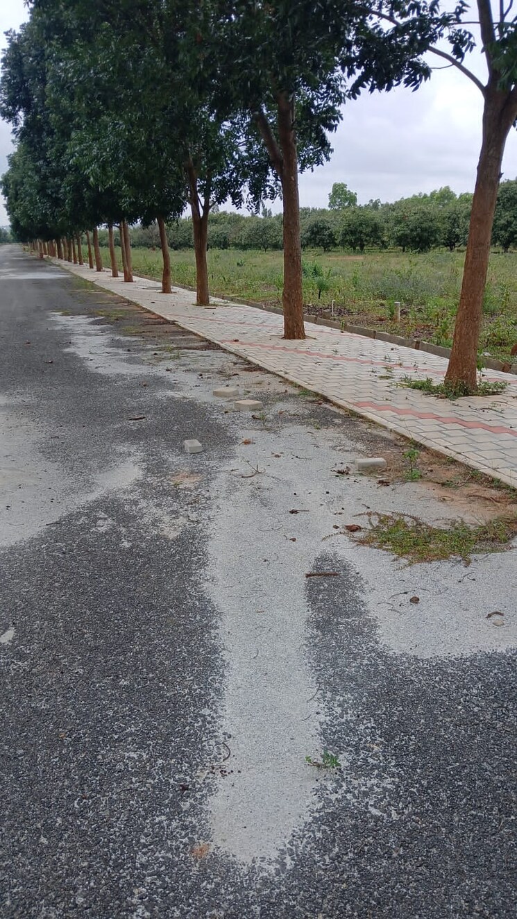 Exterior View, hoskote  1200 Sq.Ft. Plot In Hoskote Bangalore 9370943