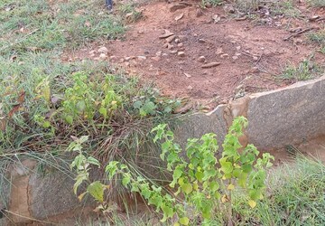 Plot Area in  Plot at Hoskote – for Sale