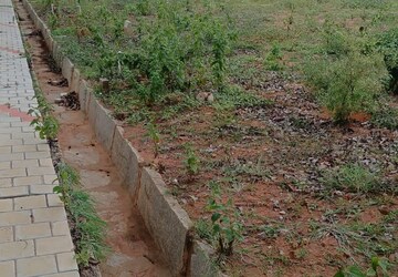 Plot Area in  Plot at Hoskote – for Sale