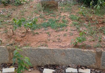 Plot – Exterior View View at Hoskote - for Sale