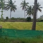 13068 Sq.Yd. Plot in Dommasandra