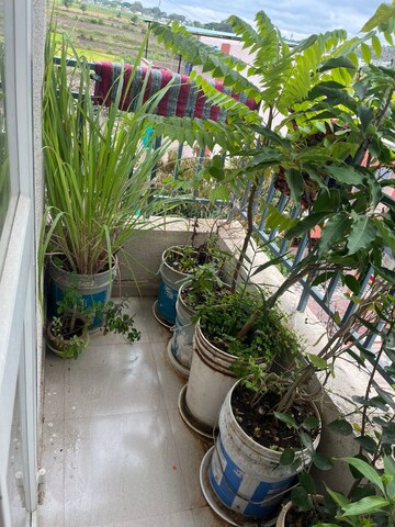 Balcony in  Office Space at Pearl Mansion Marine Lines, Marine Lines – for Rent