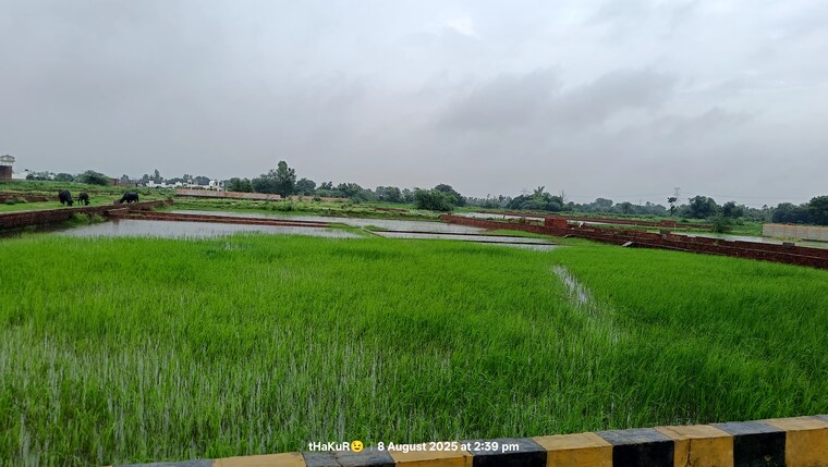 Garden, raebareli road  1556 Sq.Ft. Plot In Raebareli Road Lucknow 9371784