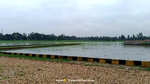Plot Area in  Plot at Raebareli Road – for Sale