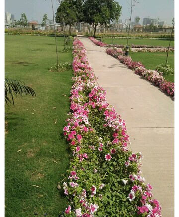 Plot – Garden View at Emaar MGF Emerald Hills, Sector 65 - for Sale