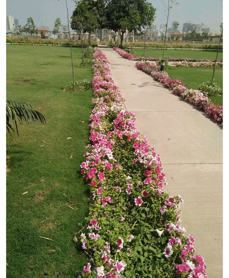 Garden, emaar-mgf-emerald-hills  183 Sq.Yd. Plot In Sector 65 Gurgaon 9371843