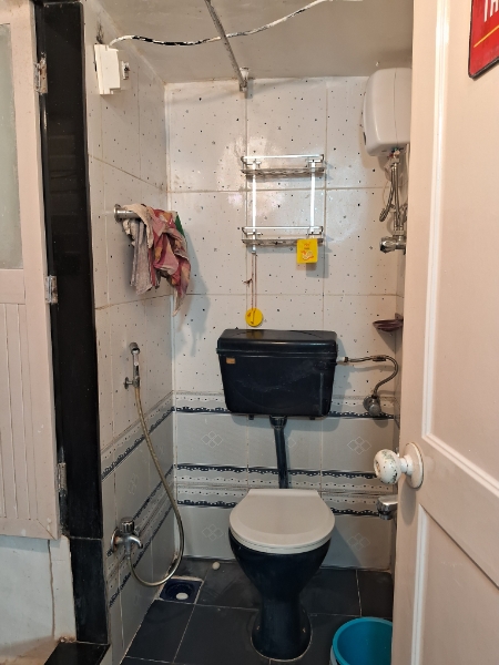 1 BHK Apartment For Rent in Dosti Daffodil