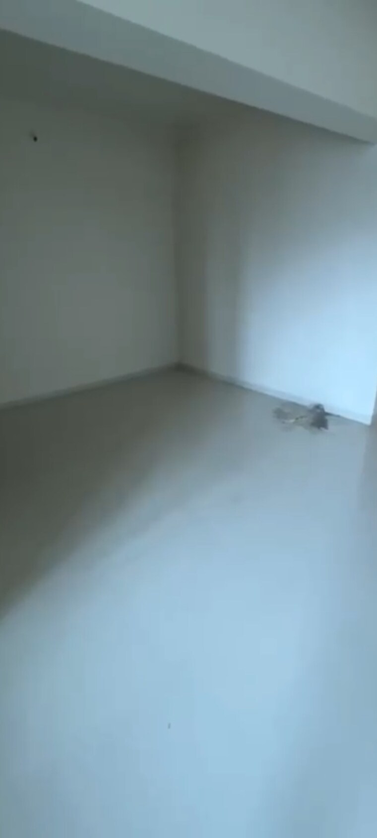 Room, dadar west 1 RK 312 Sq.Ft. Apartment In Dadar West Mumbai 9372443