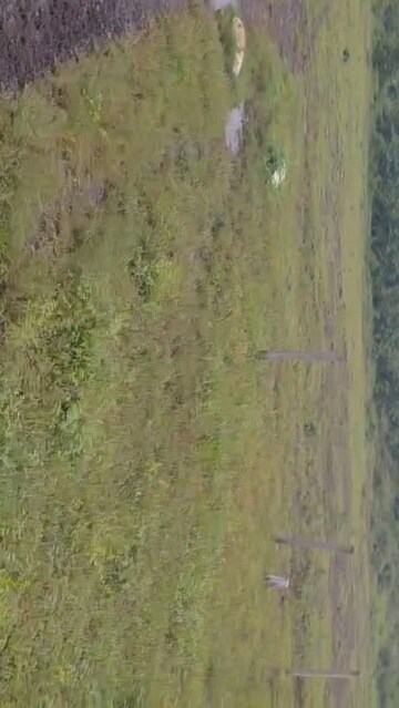 Plot – Garden View at Nagpur Road - for Sale