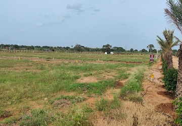 Plot Area in  Plot at Sector 16 Wave City – for Sale