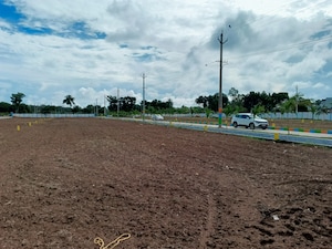 Plot Area in  Plot at Bhogapuram – for Sale