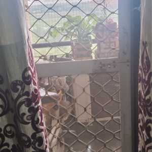 Balcony in 3 BHK Apartment at Emenox Brave Hearts, Raj Nagar Extension – for Sale