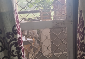 Balcony in 3 BHK Apartment at Emenox Brave Hearts, Raj Nagar Extension – for Sale