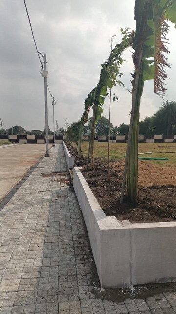 Plot – Exterior View View at Ab Road - for Sale