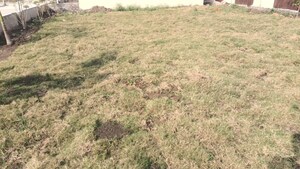 Plot Area in  Plot at Ab Road – for Sale