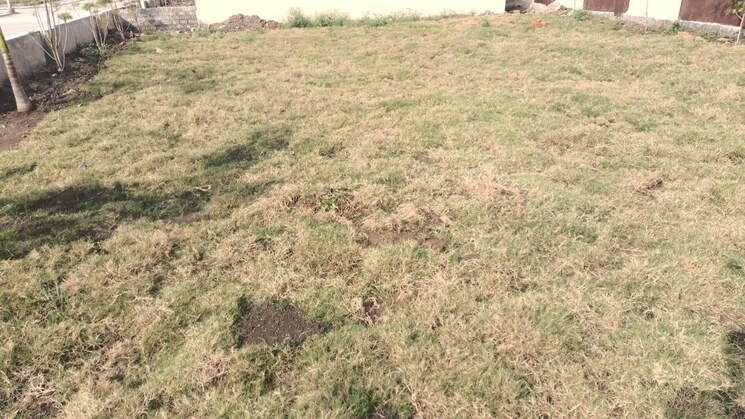 undefined, ab road  800 Sq.Ft. Plot In Ab Road Indore 9374816