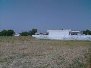  Plot For Sale in Tigaon
