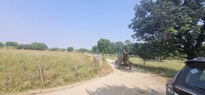  Plot For Sale in Ajeetgarh