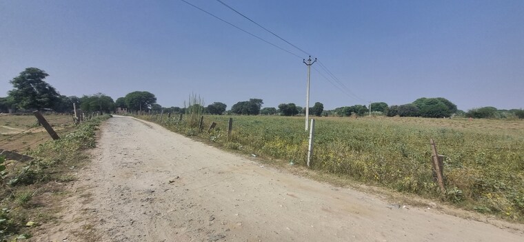 undefined, ajeetgarh  600 Sq.Yd. Plot In Ajeetgarh Sikar 9374901