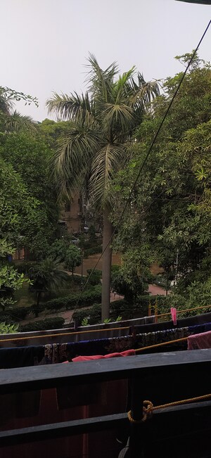 2 BHK Builder Floor – Garden View at Malviya Nagar - for Sale