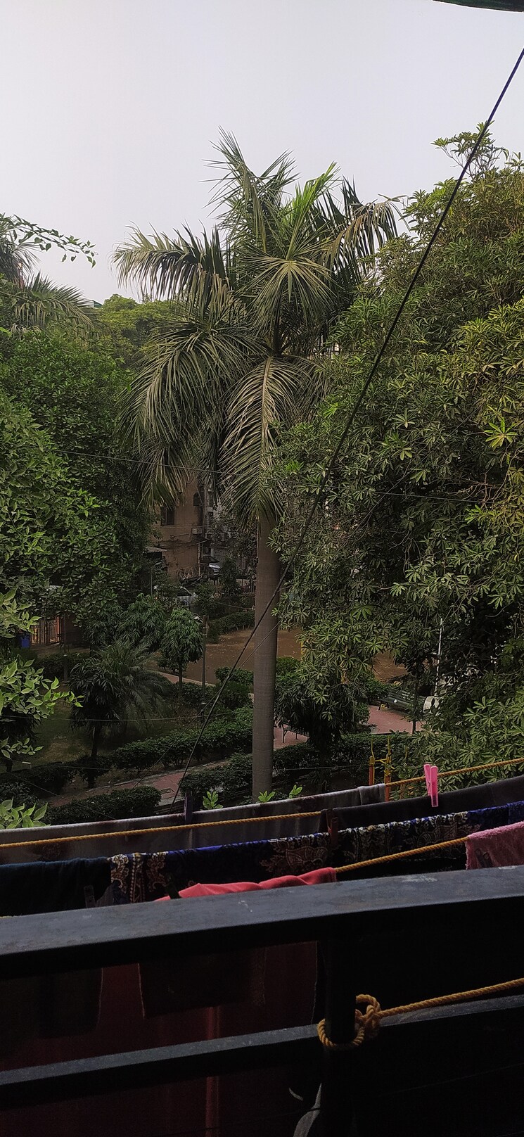 Garden, malviya nagar 2 Bedroom 900 Sq.Ft. Builder Floor In Malviya Nagar Delhi 9375206