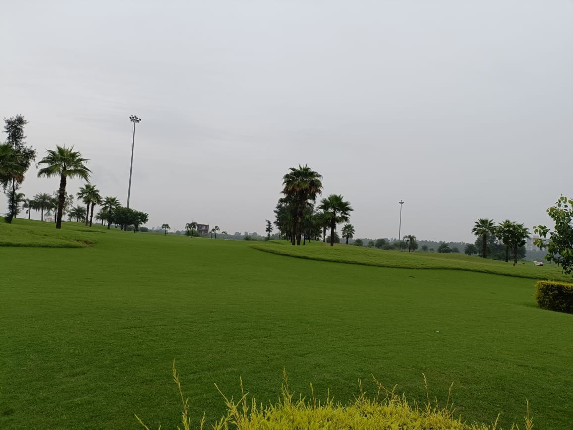 Plot For Sale in Tyagi City