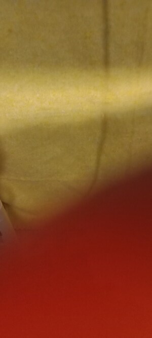 Furnished Amenities in 2 BHK Builder Floor at Saket – for Rent