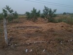 1089 Sq.Ft. Land in Nerul
