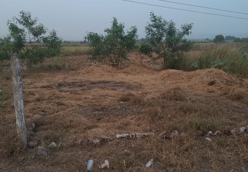 Land For Sale in Nerul