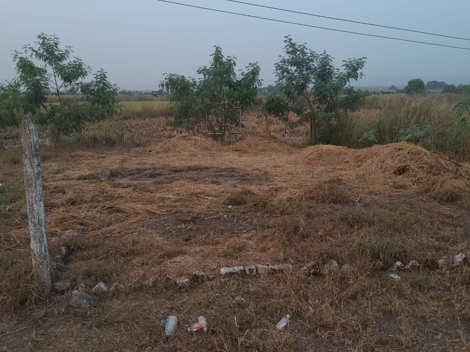 Land For Sale in Nerul