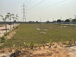 Plot For Sale in Pirthla