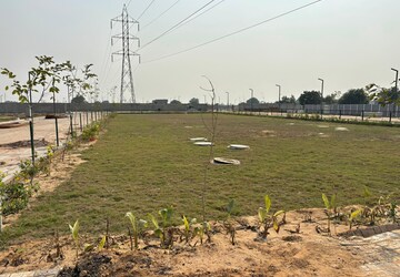 Plot For Sale in Pirthla