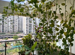 Master Plan in 2 BHK Apartment at Shubh Skypoint, Mundhwa – for Rent